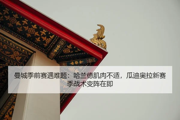 man-cheng-ji-qian-sai-yu-nan-ti-ha-lan-de-ji-rou-bu-shi-gua-di-ao-la-xin-sai-ji-zhan-shu-bian-zhen-zai-ji-2-899.jpg
